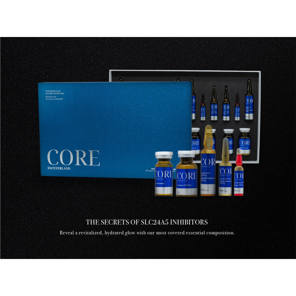 CORE INHIBITOR